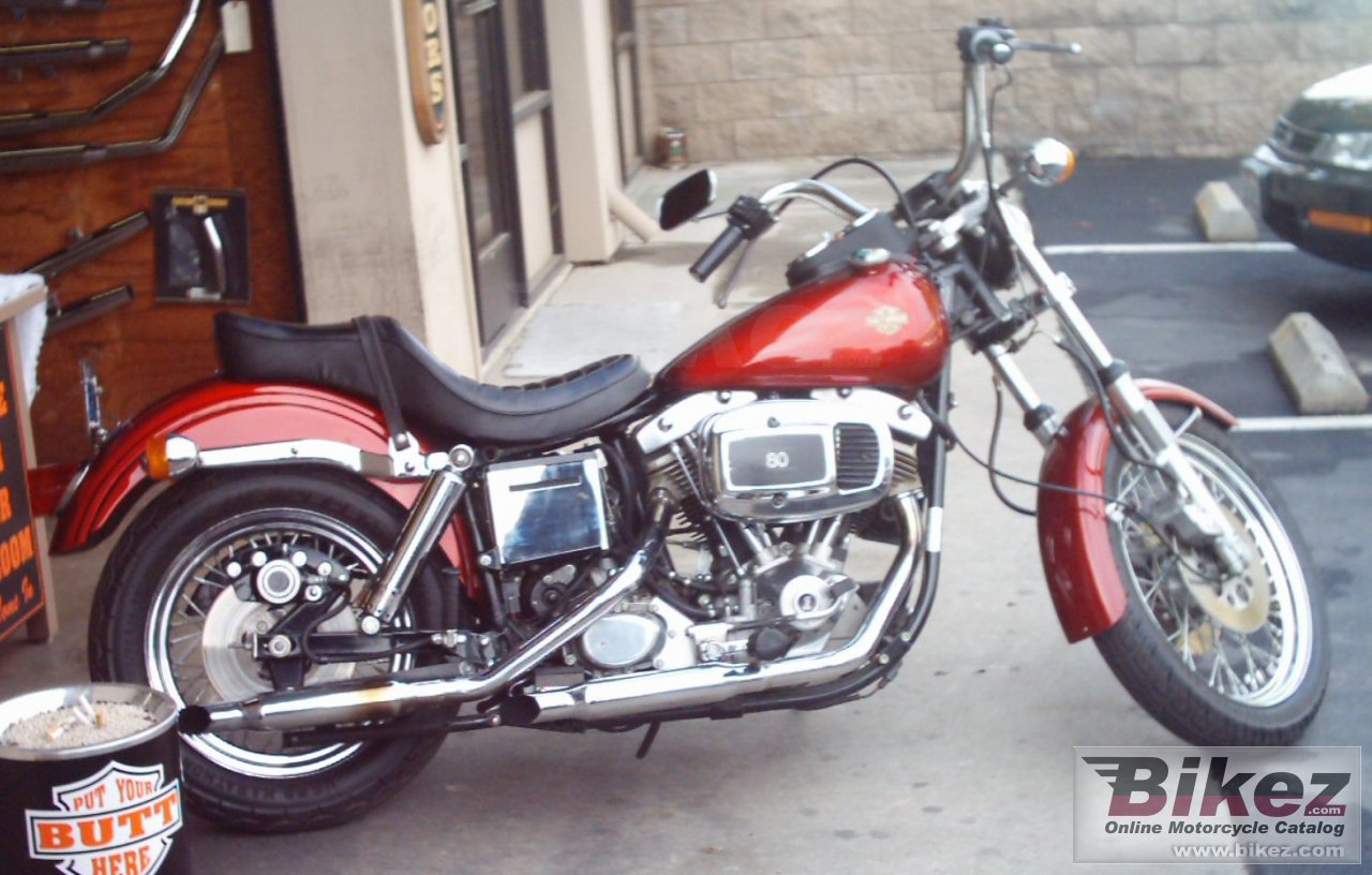 Big Raymond Haney fxe-f 1340 fat bob picture and wallpaper from Bikez.com